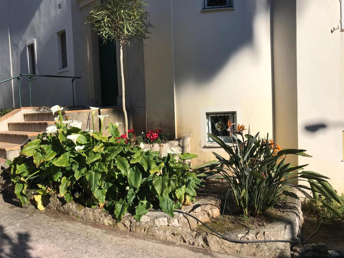 Apartamento L'olivadou ST JEAN CAP FERRAT Saint-Jean-Cap-Ferrat Exterior foto